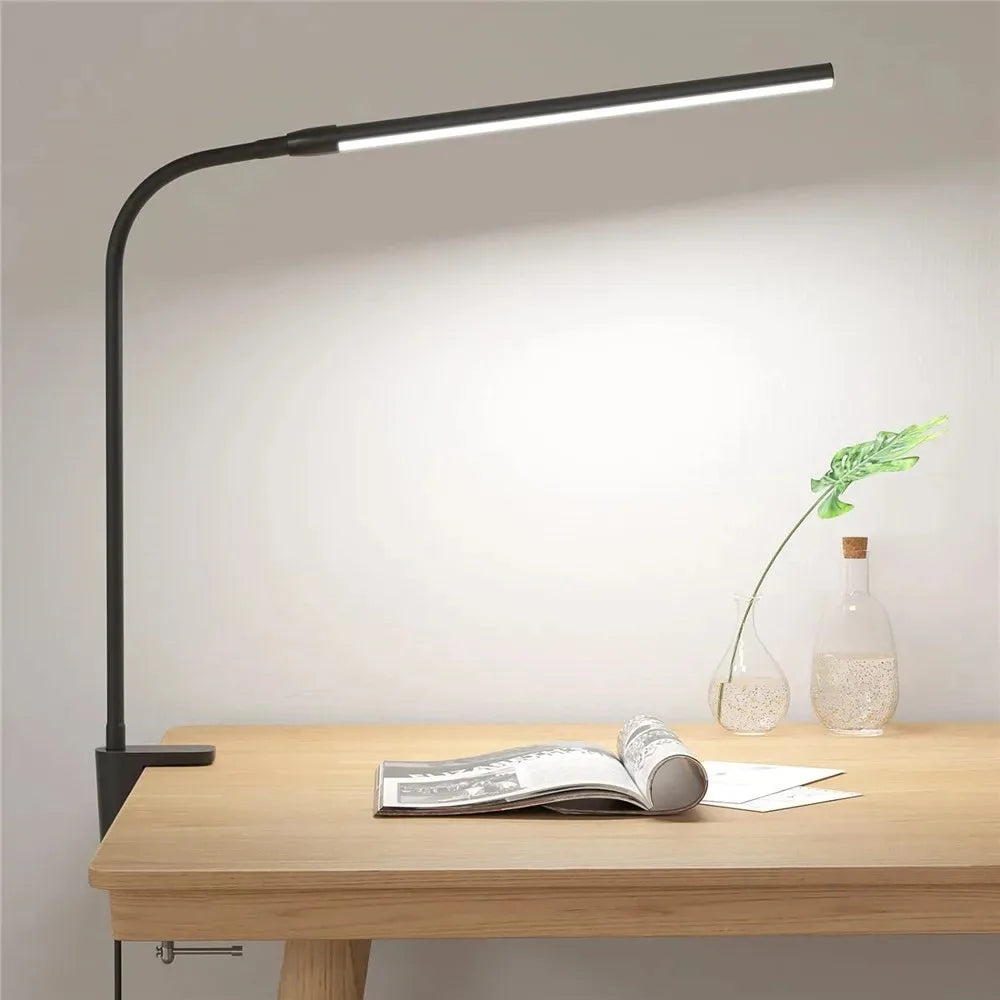 LED Desk Lamp